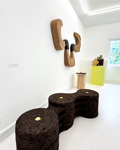 Les journées du liège du Var - © Villa Noailles Hyères