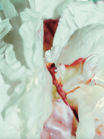 SANS TITRE
SÉRIE MISE EN PIÈCES, 2020 IMPRESSION JET D’ENCRE SUR PAPIER TECCO METAL 52×70 CM - © Villa Noailles Hyères