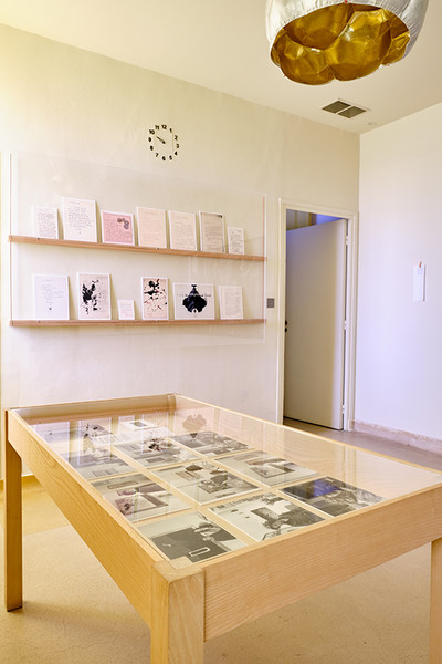 François-Marie Banier - © Villa Noailles Hyères