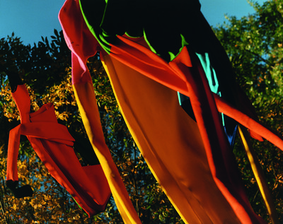 JW ANDERSON SPRING SUMMER 2017 CAMPAIGN 
Photography JAMIE HAWKESWORTH 
Styling BENJAMIN BRUNO - © Villa Noailles Hyères