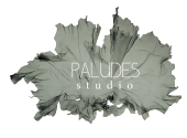 38th edition of the International Festival of Fashion, Photography and Accessories - Hyères - © Villa Noailles Hyères