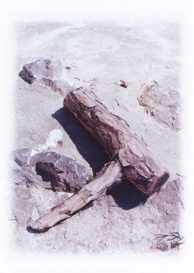 Tal Maslavi
Israël  /  Israel 

En collaboration avec /  In collaboration with 
Maison Lesage - © Villa Noailles Hyères