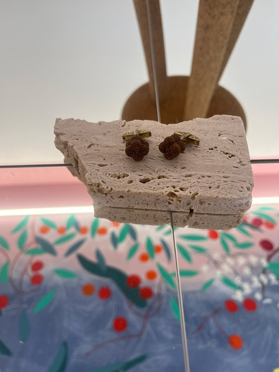 “Quercus Suber” - © Villa Noailles Hyères