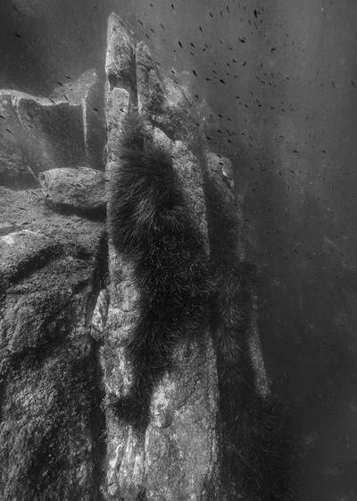 Le Levant, © Nicolas Floc’h - © Villa Noailles Hyères