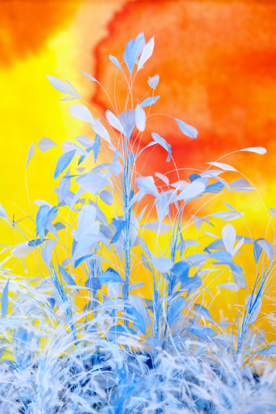 Caroline Wolewinski et Sandro della Noce, Prix Visual Merchandising décerné par CHANEL 2019 - © Villa Noailles Hyères