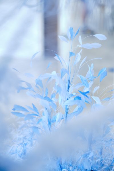 Caroline Wolewinski et Sandro della Noce, Prix Visual Merchandising décerné par CHANEL 2019 - © Villa Noailles Hyères