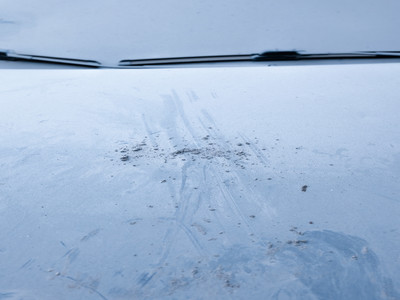 Workshops - © Villa Noailles Hyères